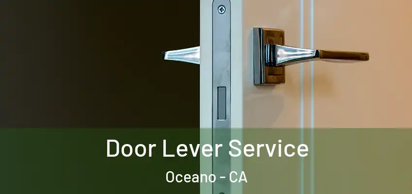  Door Lever Service Oceano - CA