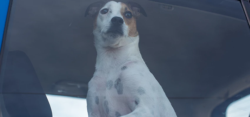 Car Lockout Solutions in Oceano, California