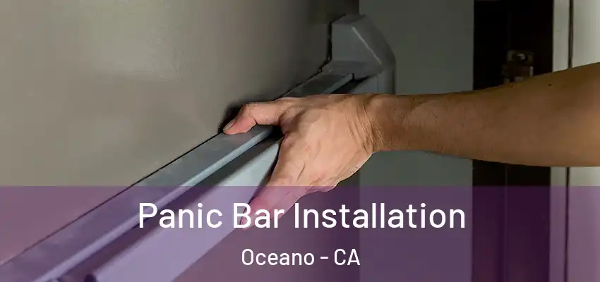  Panic Bar Installation Oceano - CA