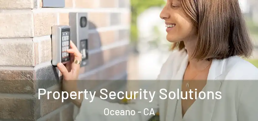 Property Security Solutions Oceano - CA